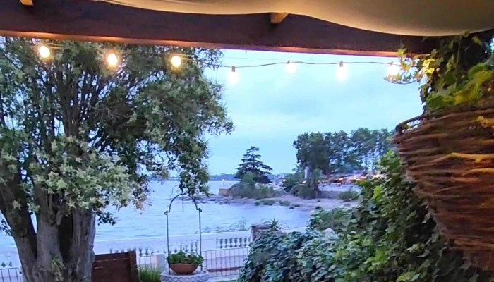 Cosas Bellas Tienda De Objetos -  Telefono - Col. del Sacramento