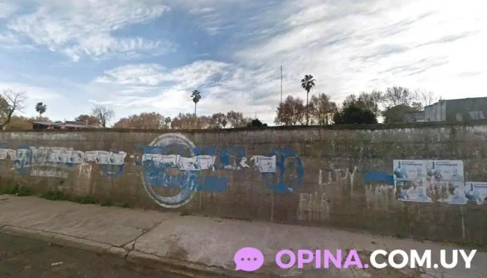 Cousa - 60000 Paysandú