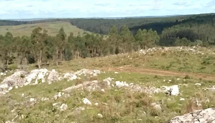 Covadonga -  Puntaje - Progreso