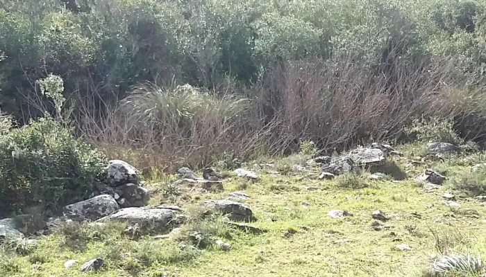 Covadonga -  Sitio Web - Progreso