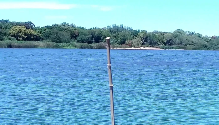 Coviam Ii -  De Los Visitantes - Juan L. Lacaze