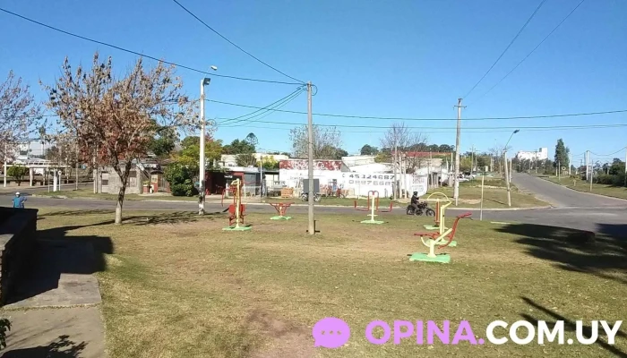 Covianalpa Iii -  De Los Visitantes - Mercedes