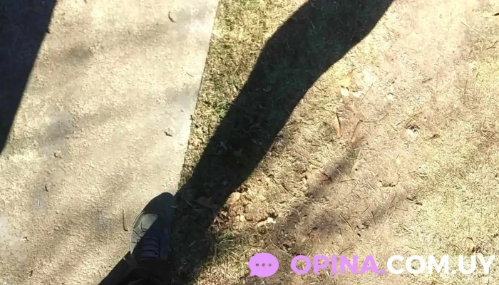 Covianalpa Iii - Mercedes