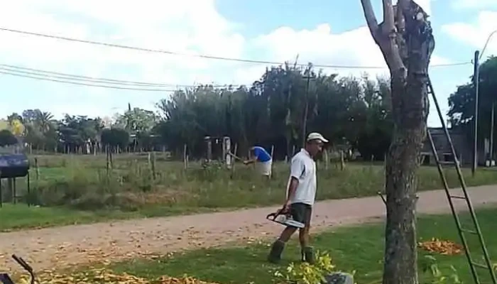 Covimon -  De Los Visitantes - Montes