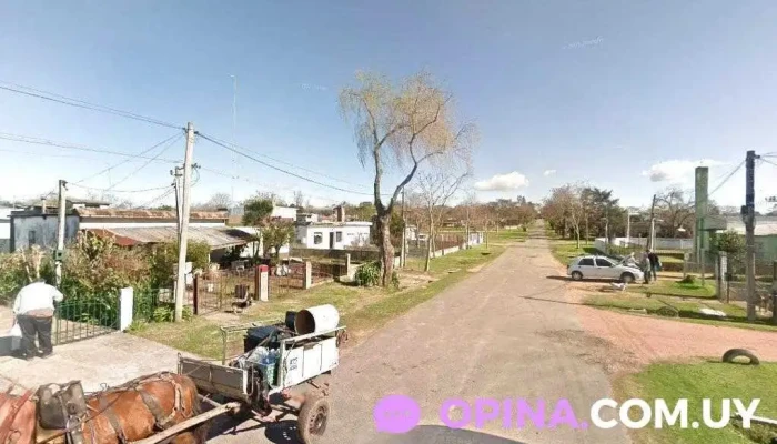 Covitobati - Montevideo