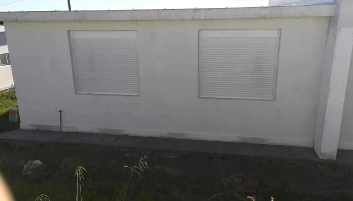 Covitrasy Pvs -  Zona - Young