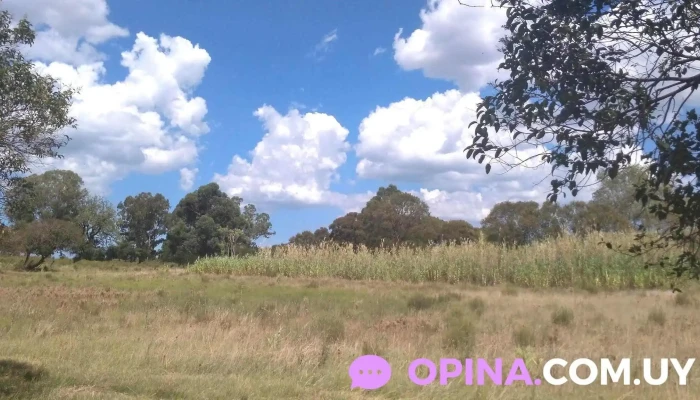 Crew Bienes Raices -  Direccion - Gral. Líber Seregni