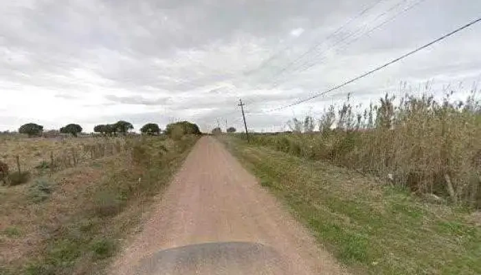 Crew Bienes Raices -  Direcciondeg - Gral. Líber Seregni