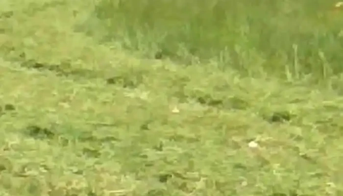 Crew Bienes Raices -  Videos - Gral. Líber Seregni