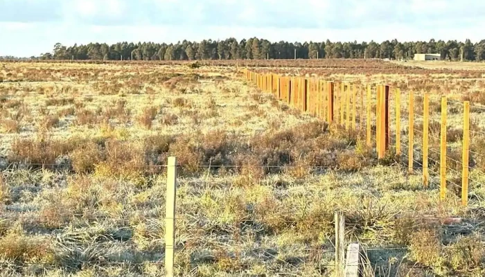 Criollos La Cachimba -  Del Propietario - Estación Atlántida