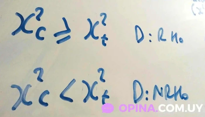 Crisant -  Instagram - Montevideo