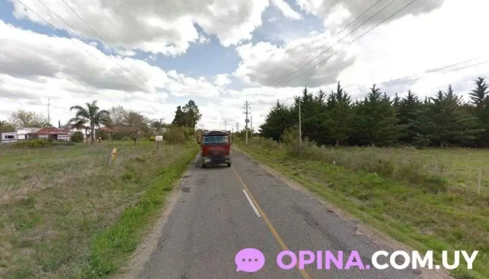 Csm - 70300 Nueva Helvecia