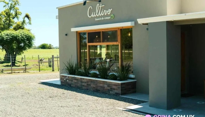 Cultivo:  Brunch De Campo Nueva Helvecia