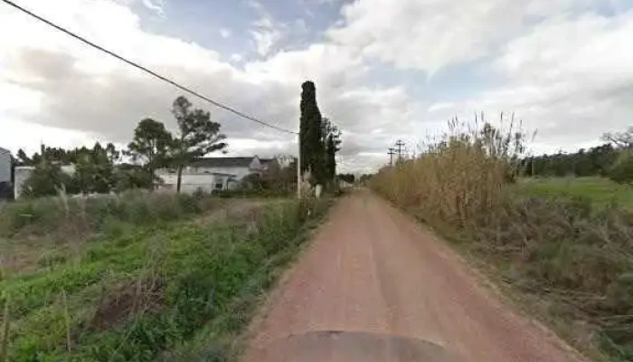 Daniel Del Mate -  Granja Horario - Montevideo