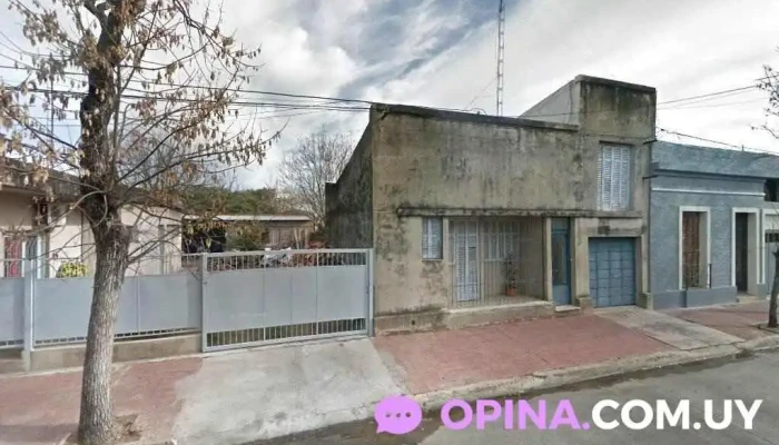 Daniel Viola - Paysandú