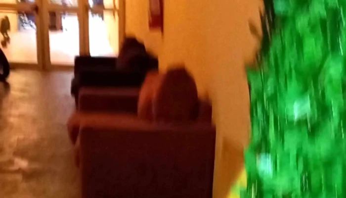 Danza Arte -  Descuentos - Montevideo