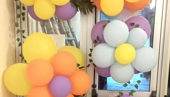 Danza Arte -  Zona - Montevideo