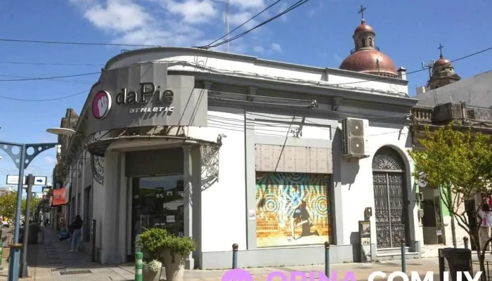 daPie Athletic Mercedes - 75000 Mercedes