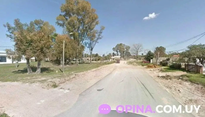 De Armas Antigüedad - C. F