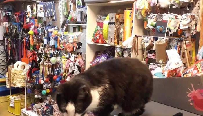 Del Puerto Veterinaria - 11000 Montevideo