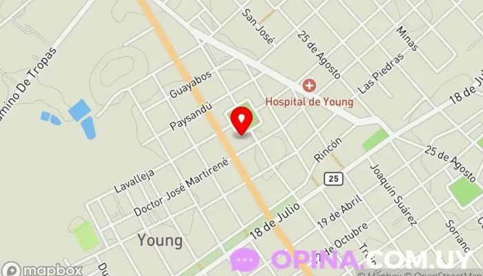 departamento del banco - Young