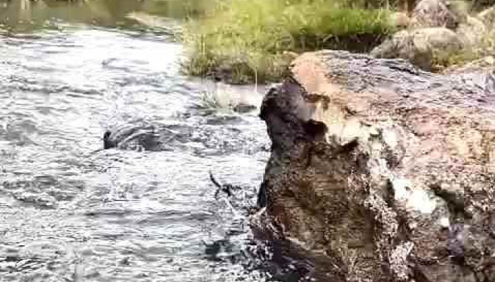 Departamento Lavalleja -  Videos - Minas