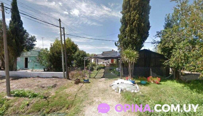 Des-Peinados - 91800 Tala