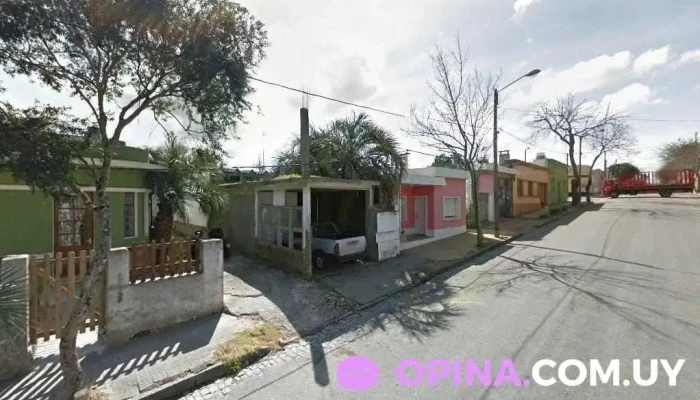 Diagnostico Equino - Castillos