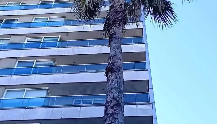 Diamantis Plaza -  Exterior - Montevideo