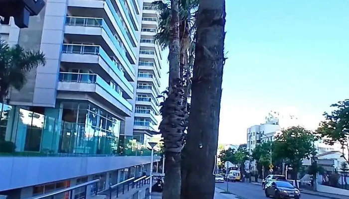 Diamantis Plaza -  Videos - Montevideo