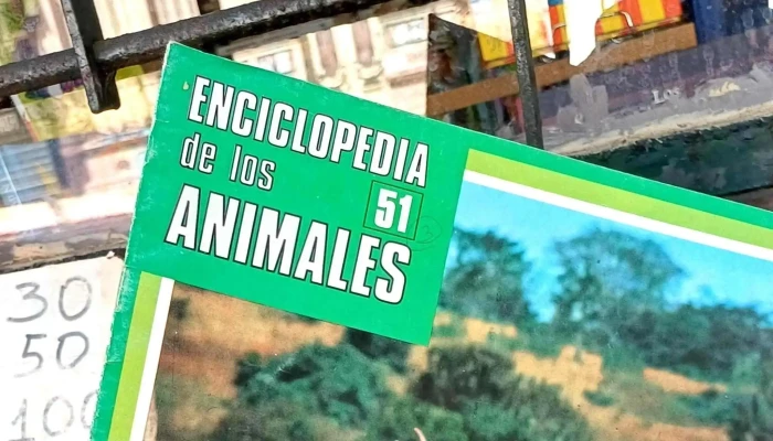 Diomedes Libros Opiniones - Montevideo