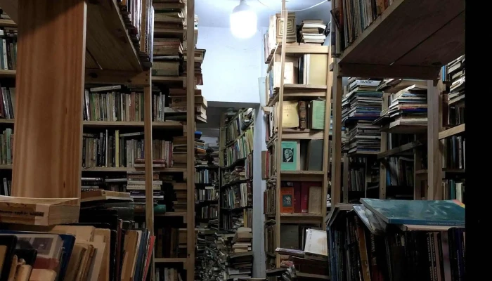 Diomedes Libros Telefono - Montevideo