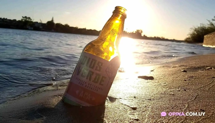 Dios Verde Beer:  Del Propietario