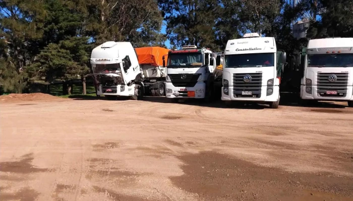 Disa - 30300 José Pedro Varela