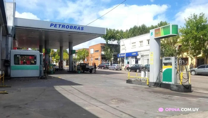 Disa 33:  Estacion De Servicio - Gasolinera