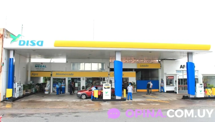 Disa - 75200 Cardona