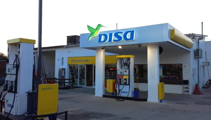 Disa:  Todo