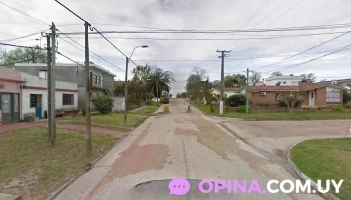 Distribuidora 3 cachorros - 90100 Los Cerrillos