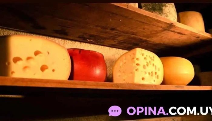 Distribuidora Dalsan - 11800 Montevideo