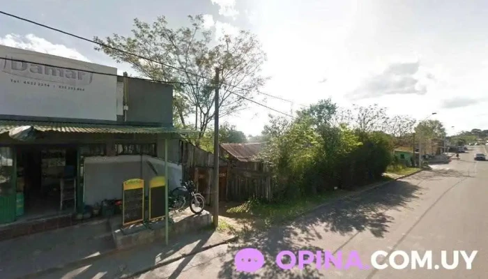 Distribuidora Damar - 470 - Saavedra