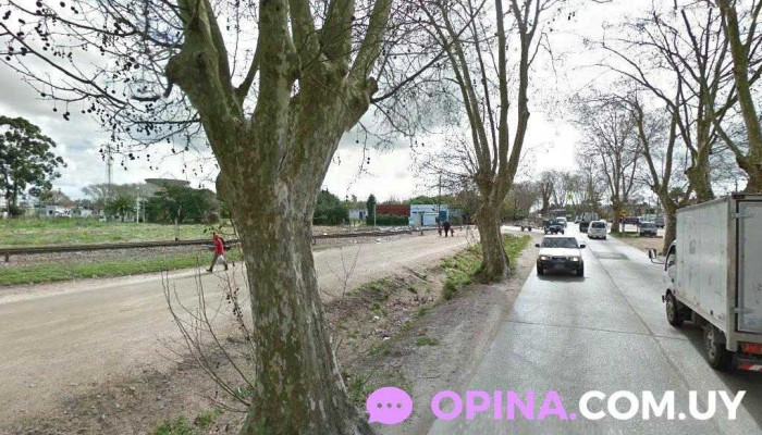 Distribuidora Don Pepe - 13000 Montevideo