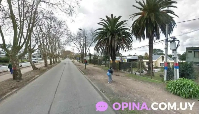 Distribuidora Fenix - 13000 Montevideo