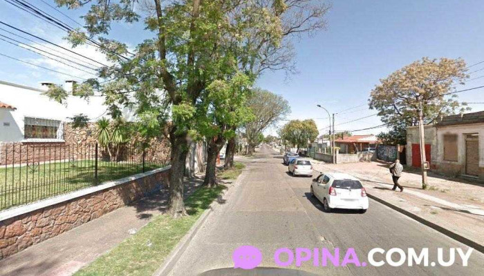 Distribuidora Fr - 11400 Montevideo