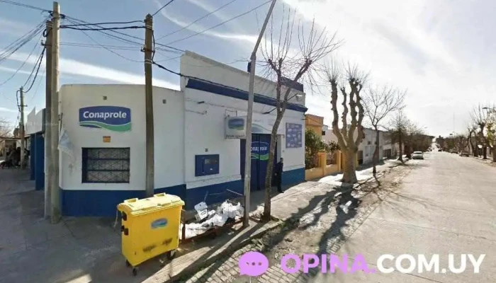 Distribuidora Ghanima - 33000 Treinta Y Tres