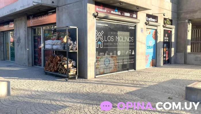Distribuidora Los Molinos - 11700 Montevideo