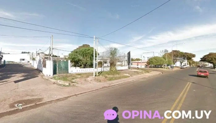 Distribuidora Mandi - 50000 Salto