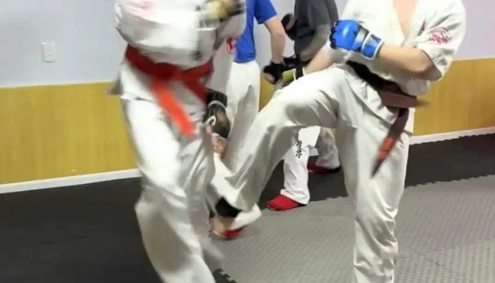 Dojo Suna Escuela Kyokukaikan -  Arte Marcial - Montevideo