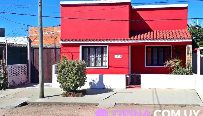 Domicilio Cecilia Buzo Del Propietario - Rio Branco