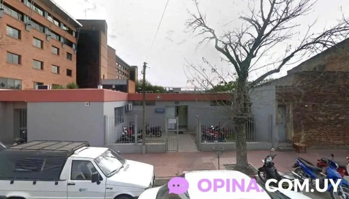 Dosis unitaria - 60000 Paysandú