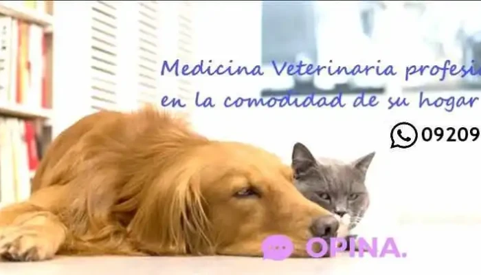 Dr. Martin Taboada. Veterinario a Domicilio - Urgencias - Uruguay